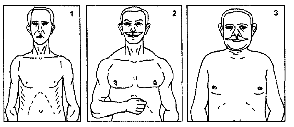 Типологія характерів за Кречмером