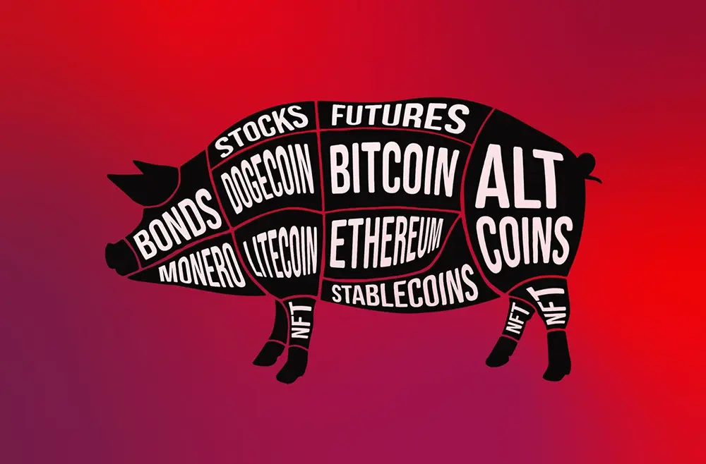 схема pig butchering